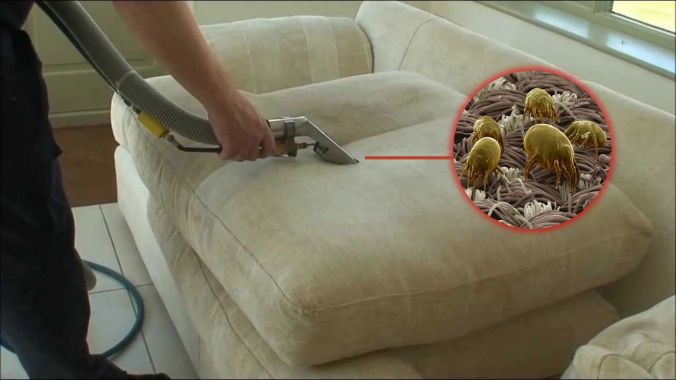 Koltuk ve yatak bakterileri